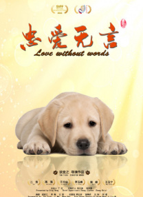 91在线精品你懂的免费